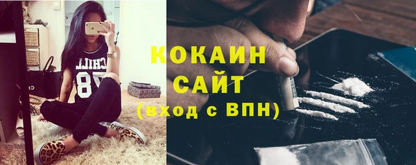 прущие грибы Алексеевка