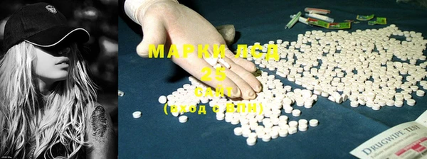 ГАЛЛЮЦИНОГЕННЫЕ ГРИБЫ Алзамай