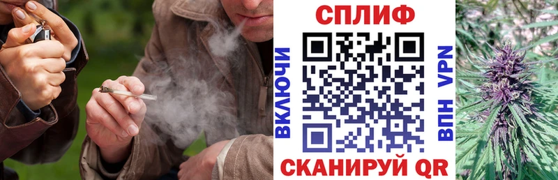 Бошки Шишки MAZAR  Ачинск 